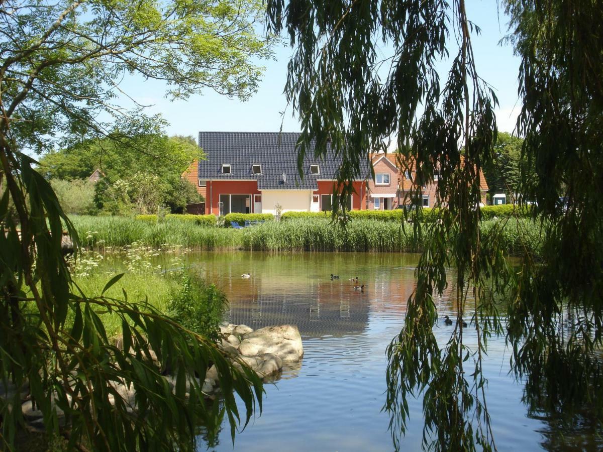 Ferienhaus Seeschwalbe Fehmarn Exteriör bild