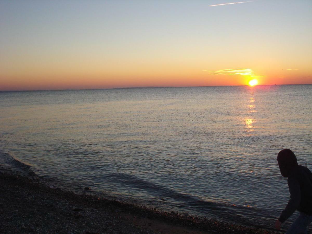Ferienhaus Seeschwalbe Fehmarn Exteriör bild